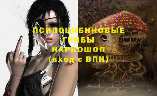 крисы Армянск