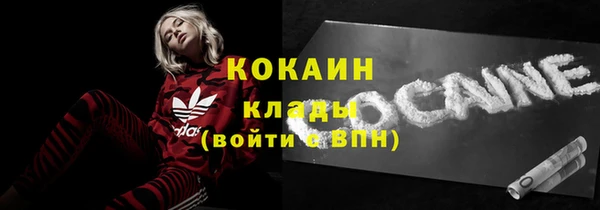 дживик Аркадак