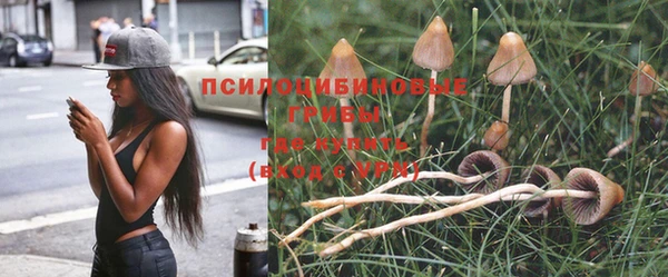 дживик Аркадак