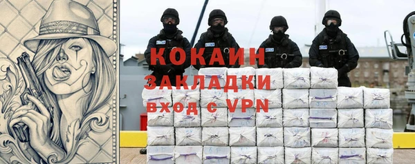 ешки Арсеньев