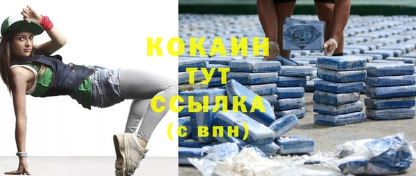 крисы Армянск