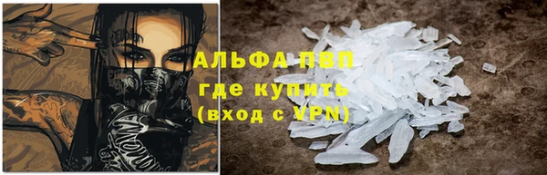крисы Армянск