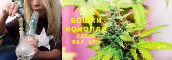 дживик Аркадак