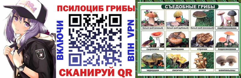 Псилоцибиновые грибы Psilocybine cubensis Купить где Сунжа